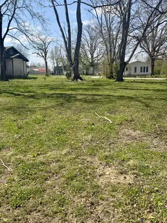 a big yard with trees