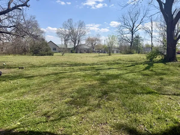 a view of a field with trees