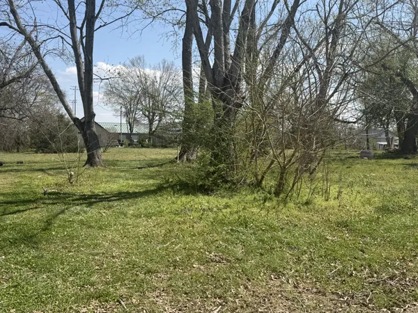 a view of a field with large trees
