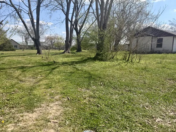 a view of a yard with plants and trees
