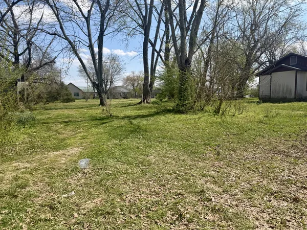a view of a backyard with large trees