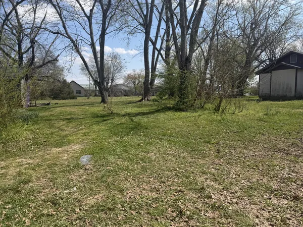 a view of a backyard with large trees