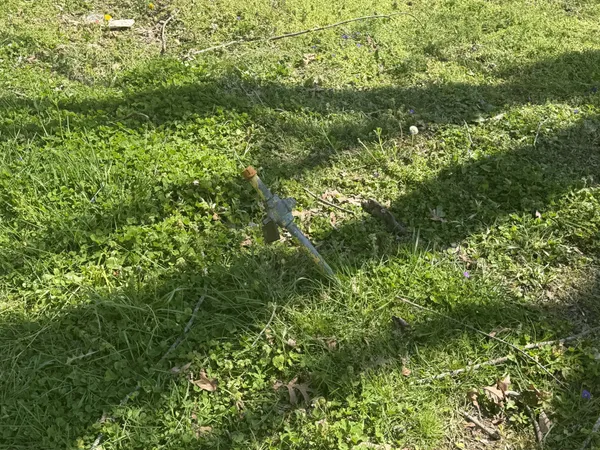 a view of a lush green forest