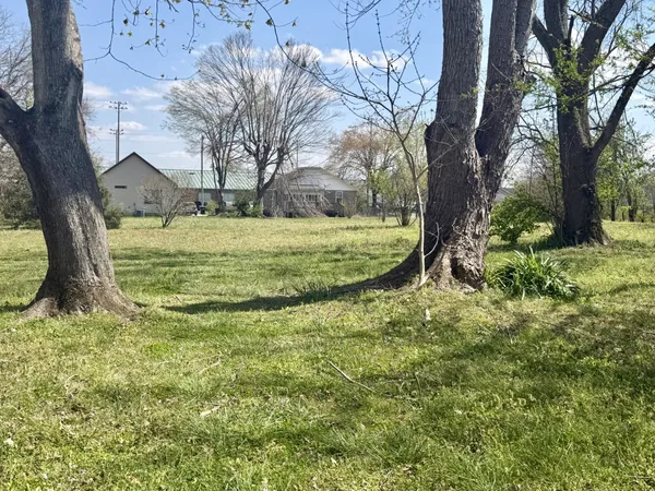 a view of a yard with large tree