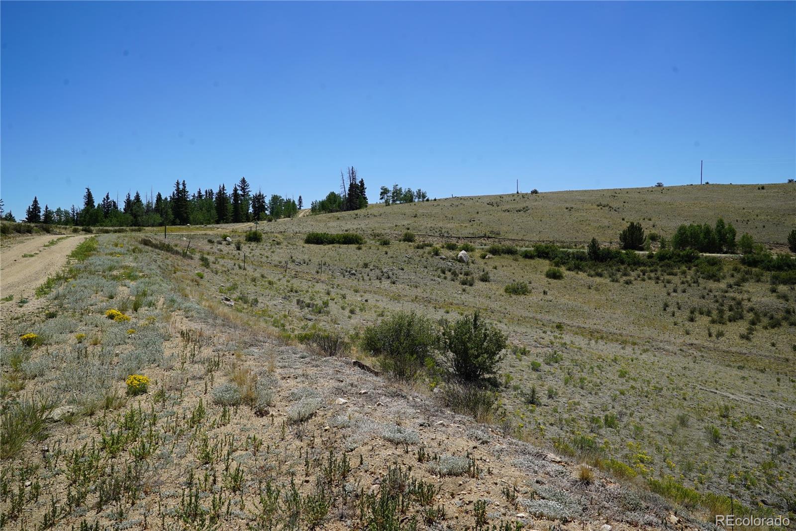 1053 Lippzana Road Jefferson, CO 80456 - Photo 2 of 4 a view of a dry yard with wooden fence