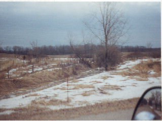 5667 Bird Lake Road South Osseo, MI 49266 - Photo 1 of 1 Primary Photo