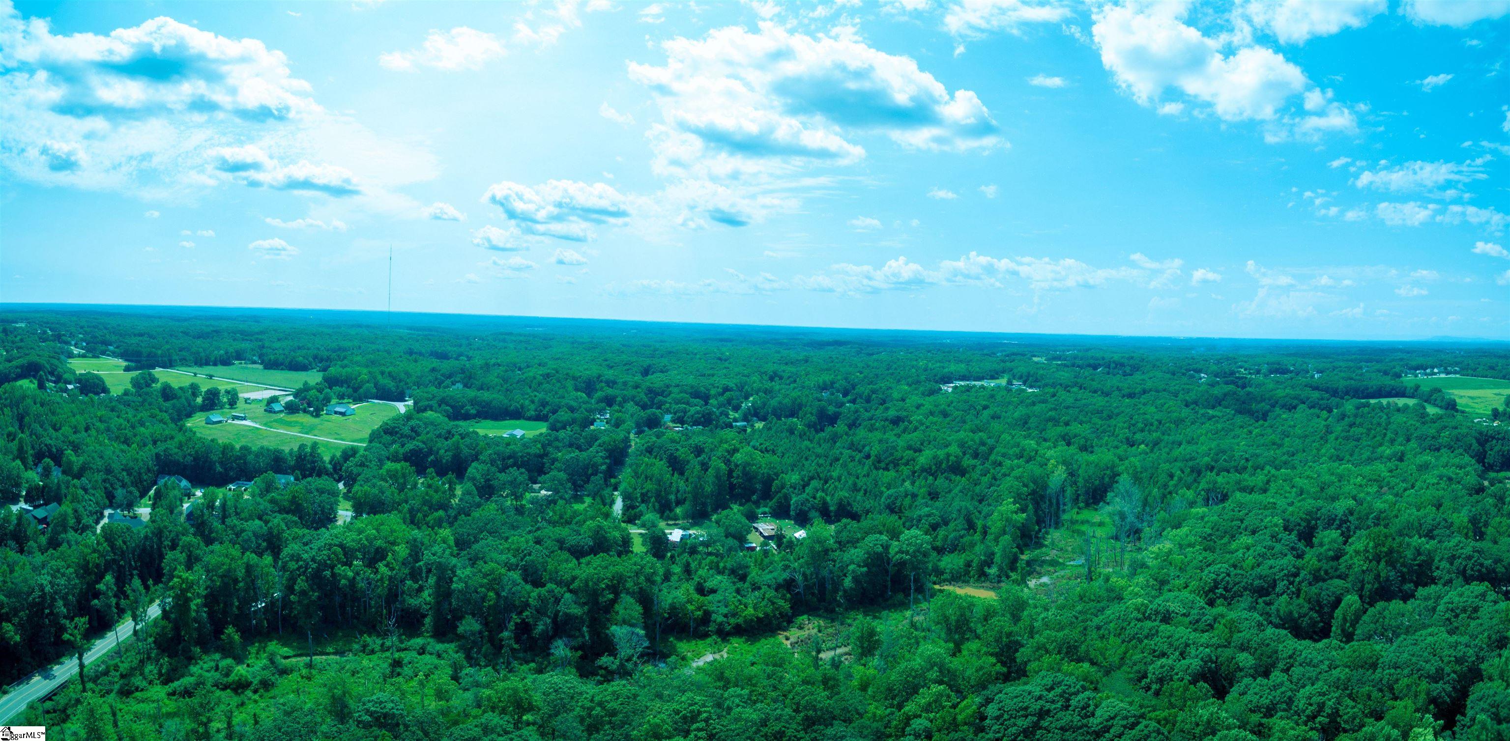 316 Tall Pines Road Fountain Inn, SC 29644 - Photo 22 of 22