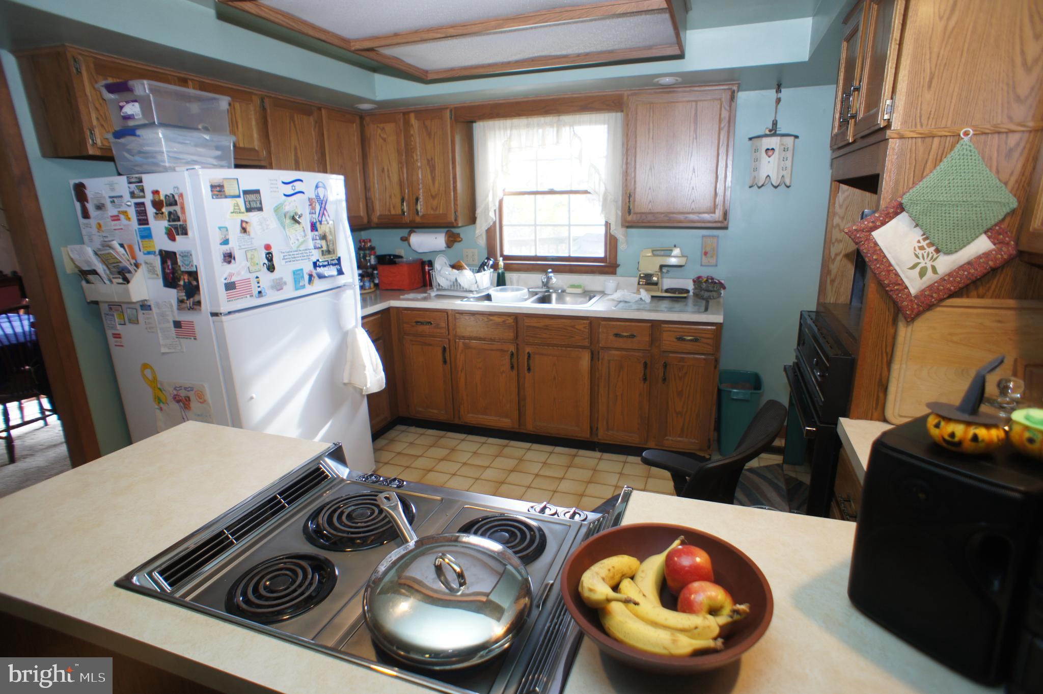 10459 Frederick Road Ellicott City, MD 21042 - Photo 17 of 32 Kitchen 1