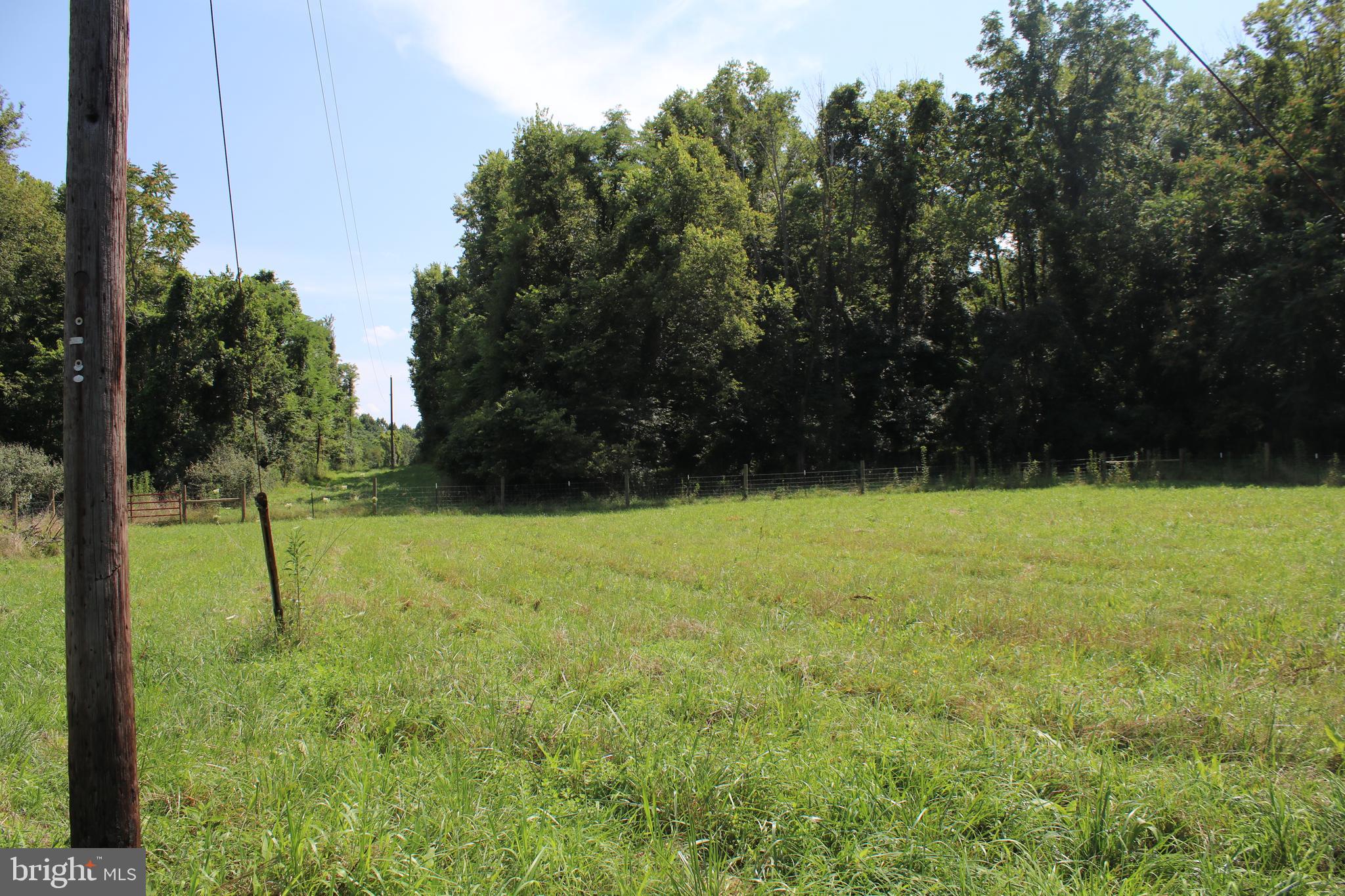 Goldmiller Road Gerrardstown, WV 25420 - Photo 5 of 12 Pasture from weeping willows