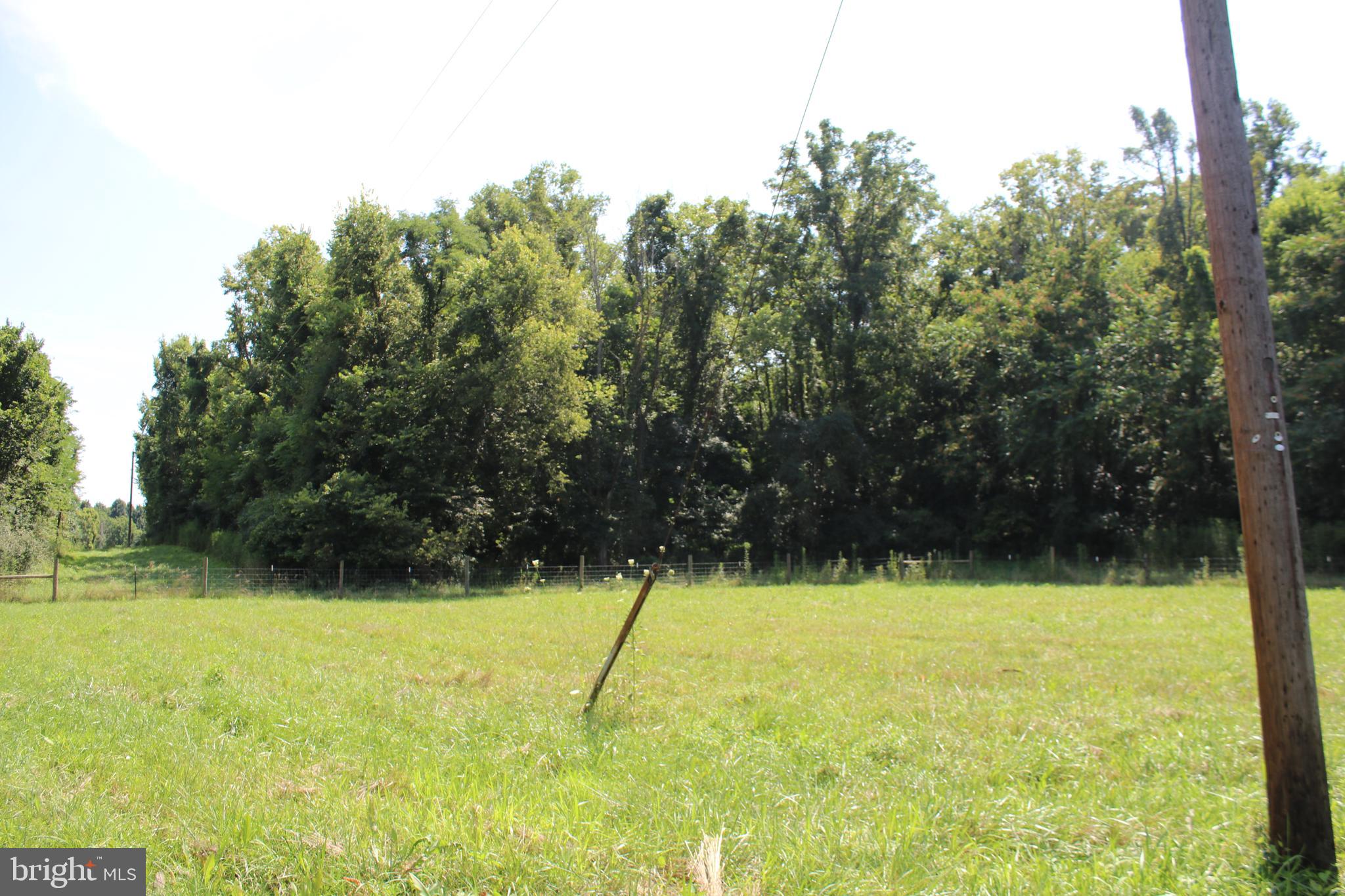 Goldmiller Road Gerrardstown, WV 25420 - Photo 6 of 12 Pasture and beginning of wooded section