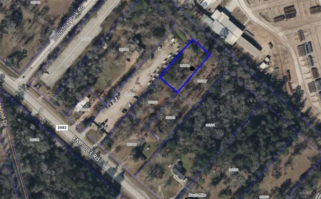 a city view with tall trees