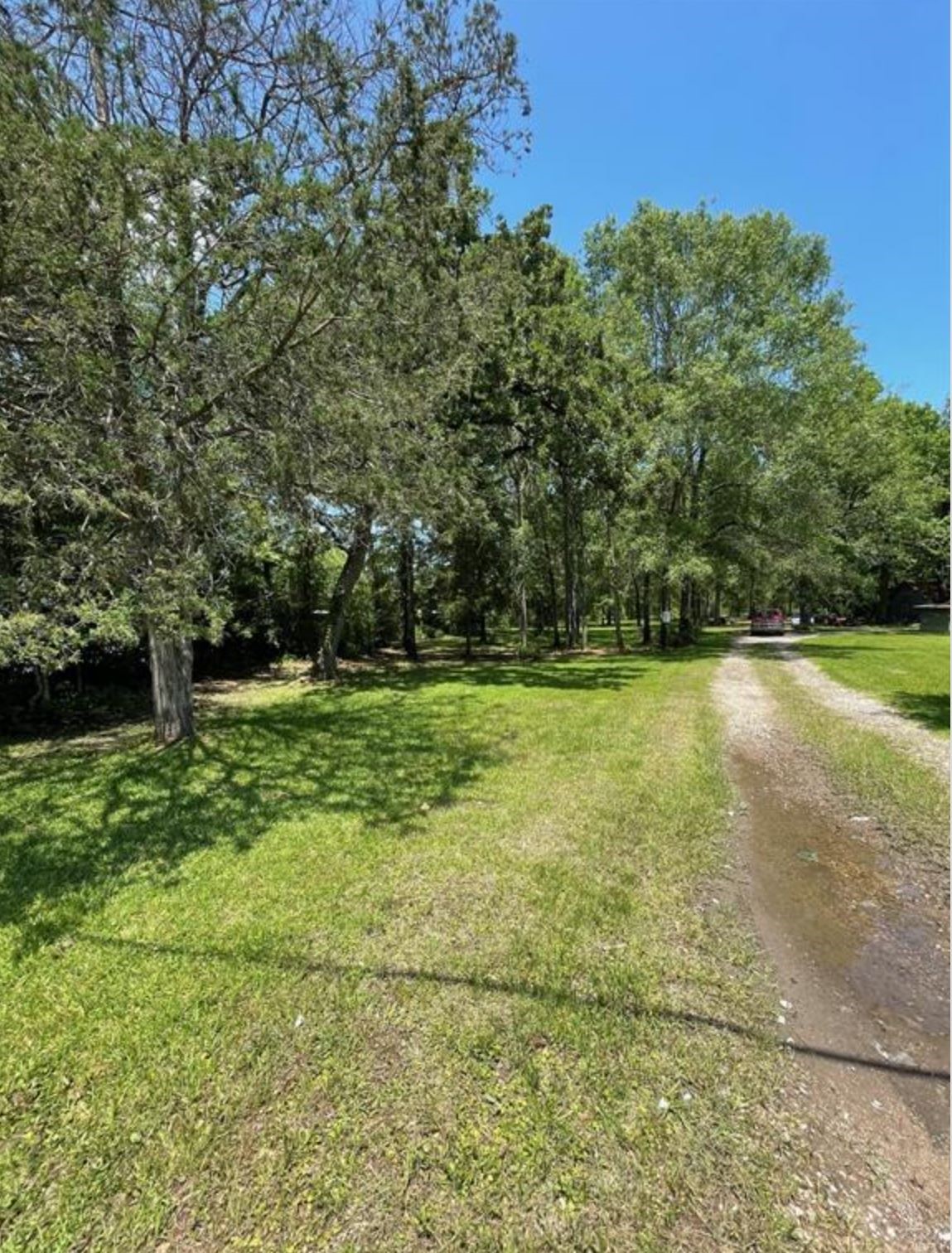 765 Fm 3083 Road Conroe, TX 77301 - Photo 11 of 12 a view of outdoor space with deck and yard