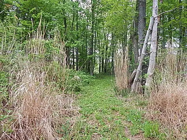 $644,000 | 15252 27 Mile Road, Albion, MI 49224