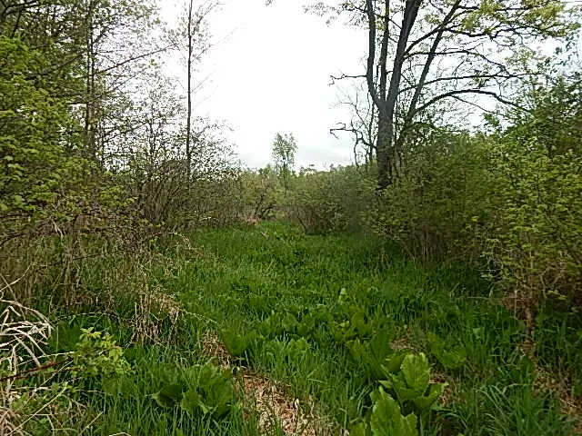 $644,000 | 15252 27 Mile Road, Albion, MI 49224