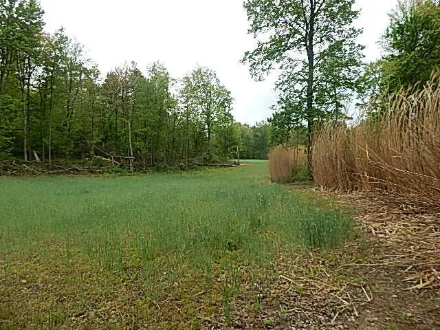 $644,000 | 15252 27 Mile Road, Albion, MI 49224