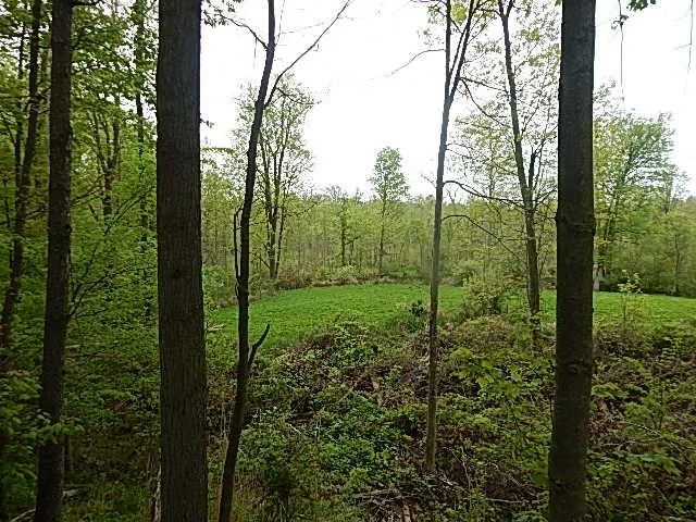 $644,000 | 15252 27 Mile Road, Albion, MI 49224