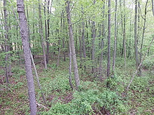 $644,000 | 15252 27 Mile Road, Albion, MI 49224