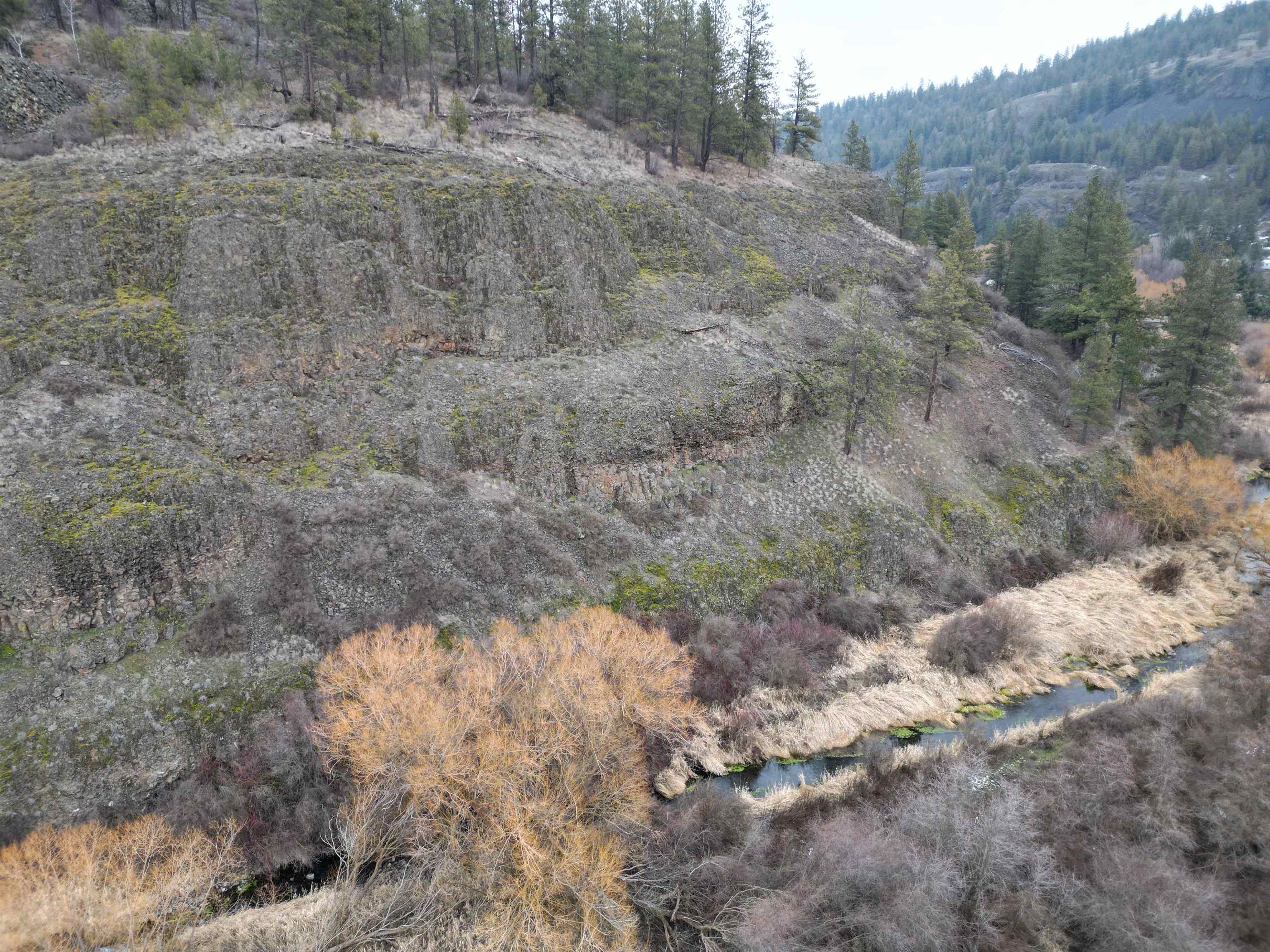 33055 Hawk Creek Ranch Road North Davenport, WA 99122 - Photo 3 of 15