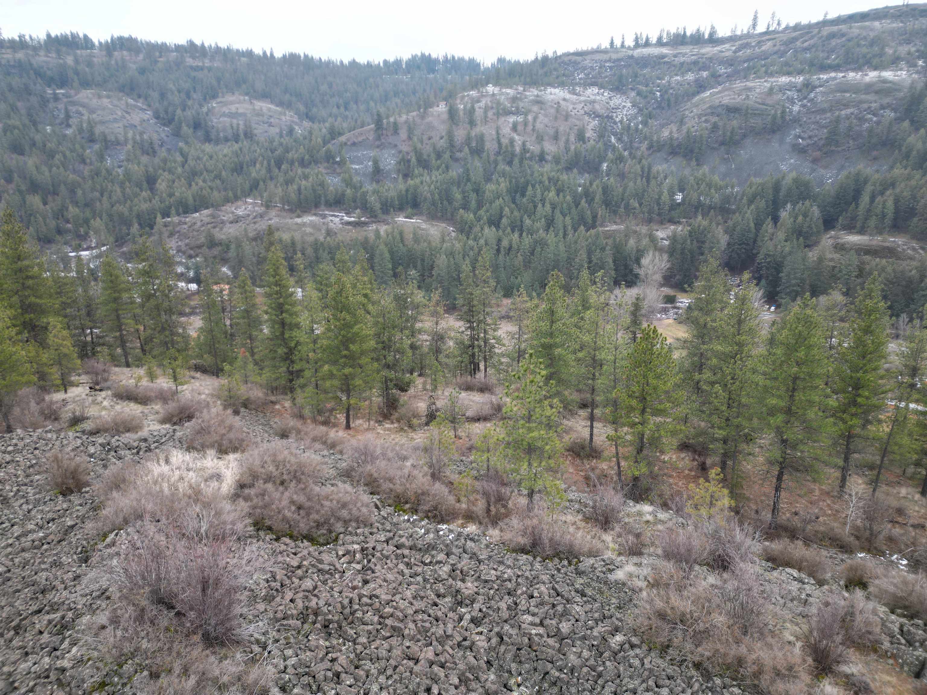 33055 Hawk Creek Ranch Road North Davenport, WA 99122 - Photo 4 of 15