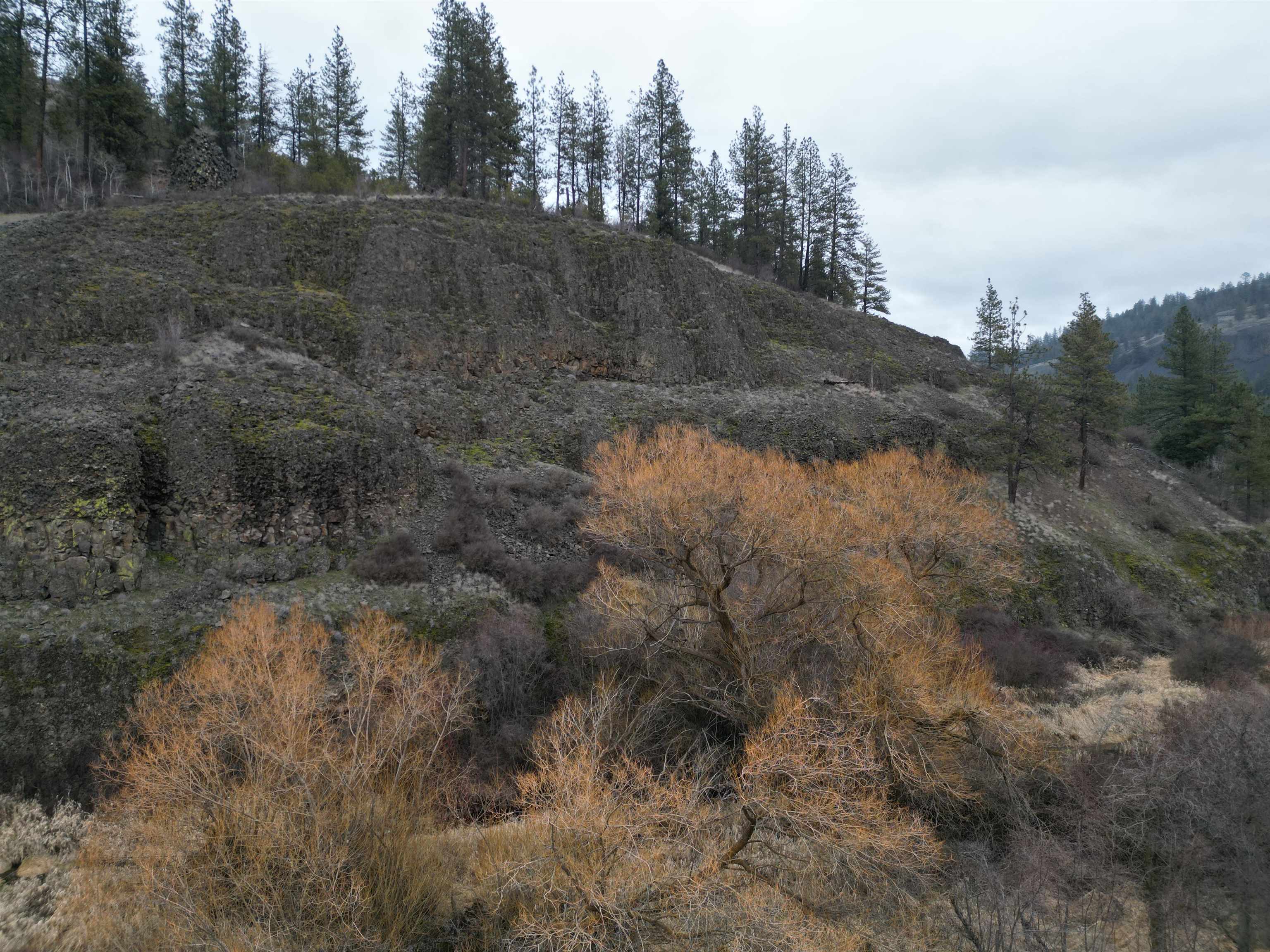 33055 Hawk Creek Ranch Road North Davenport, WA 99122 - Photo 7 of 15