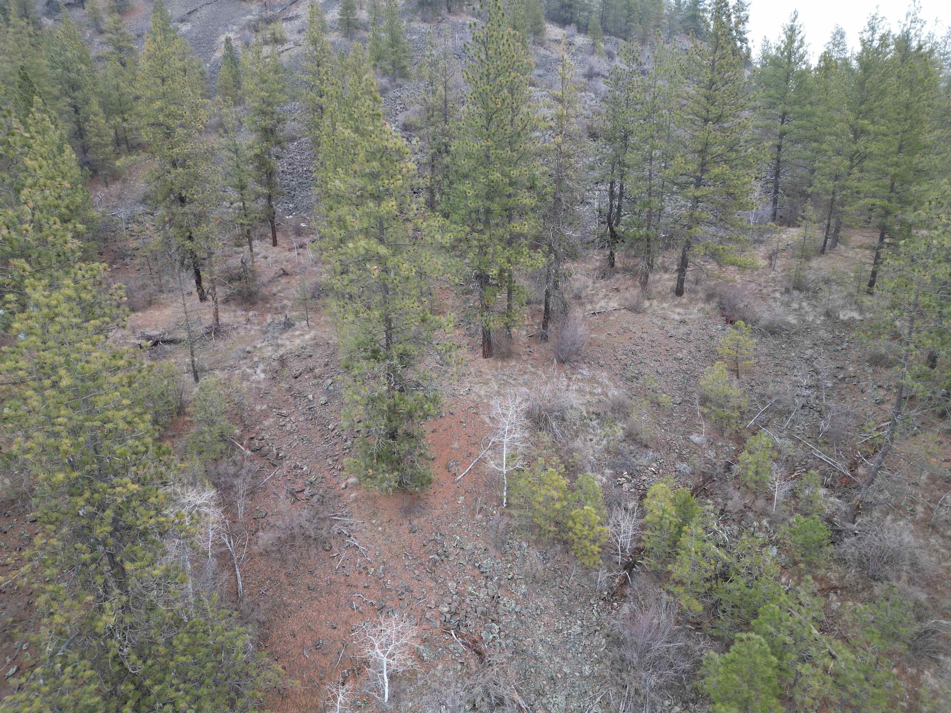 33055 Hawk Creek Ranch Road North Davenport, WA 99122 - Photo 9 of 15