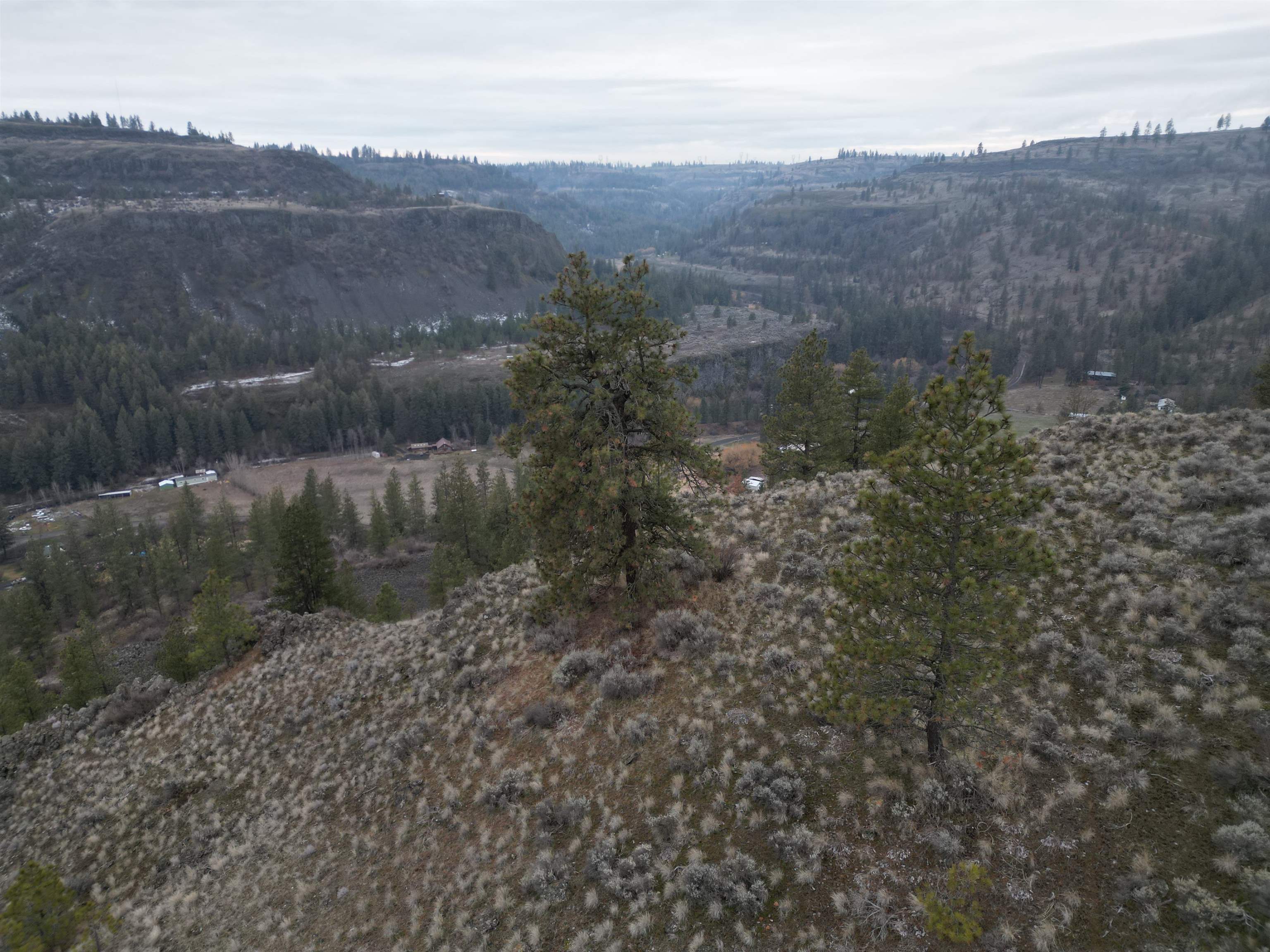 33055 Hawk Creek Ranch Road North Davenport, WA 99122 - Photo 10 of 15