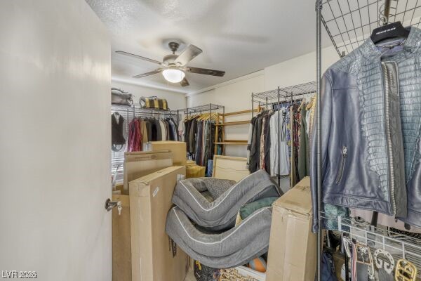 1536 Pony Ranch Circle Henderson, NV 89014 - Photo 20 of 24 Large Bedroom with Ceiling Fan and Long closet