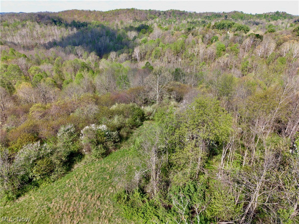 0 Harrons Ridge Road Dexter City, OH 45727 - Photo 26 of 29