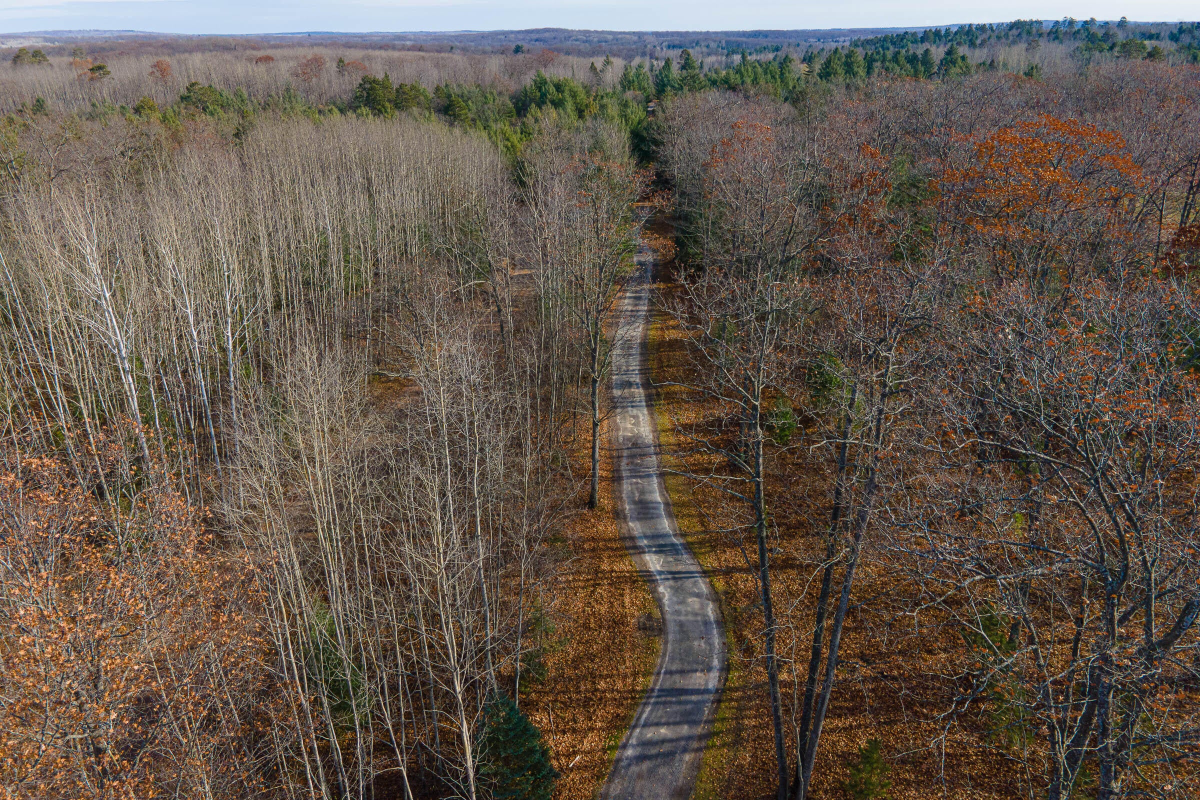 Unit #4 East Sucker Creek Road Spruce, MI 48762 - Photo 3 of 19 Gallery Image 3
