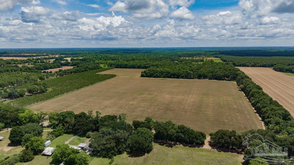 17 Three Three Oaks Lane Pace, FL 32571 - Photo 8 of 10