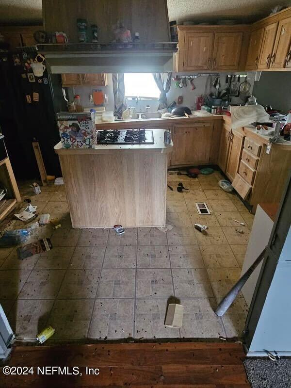 44192 Pinebreeze Circle Callahan, FL 32011 - Photo 2 of 13 PHOTO-2024-07-17-22-53-54 (11)