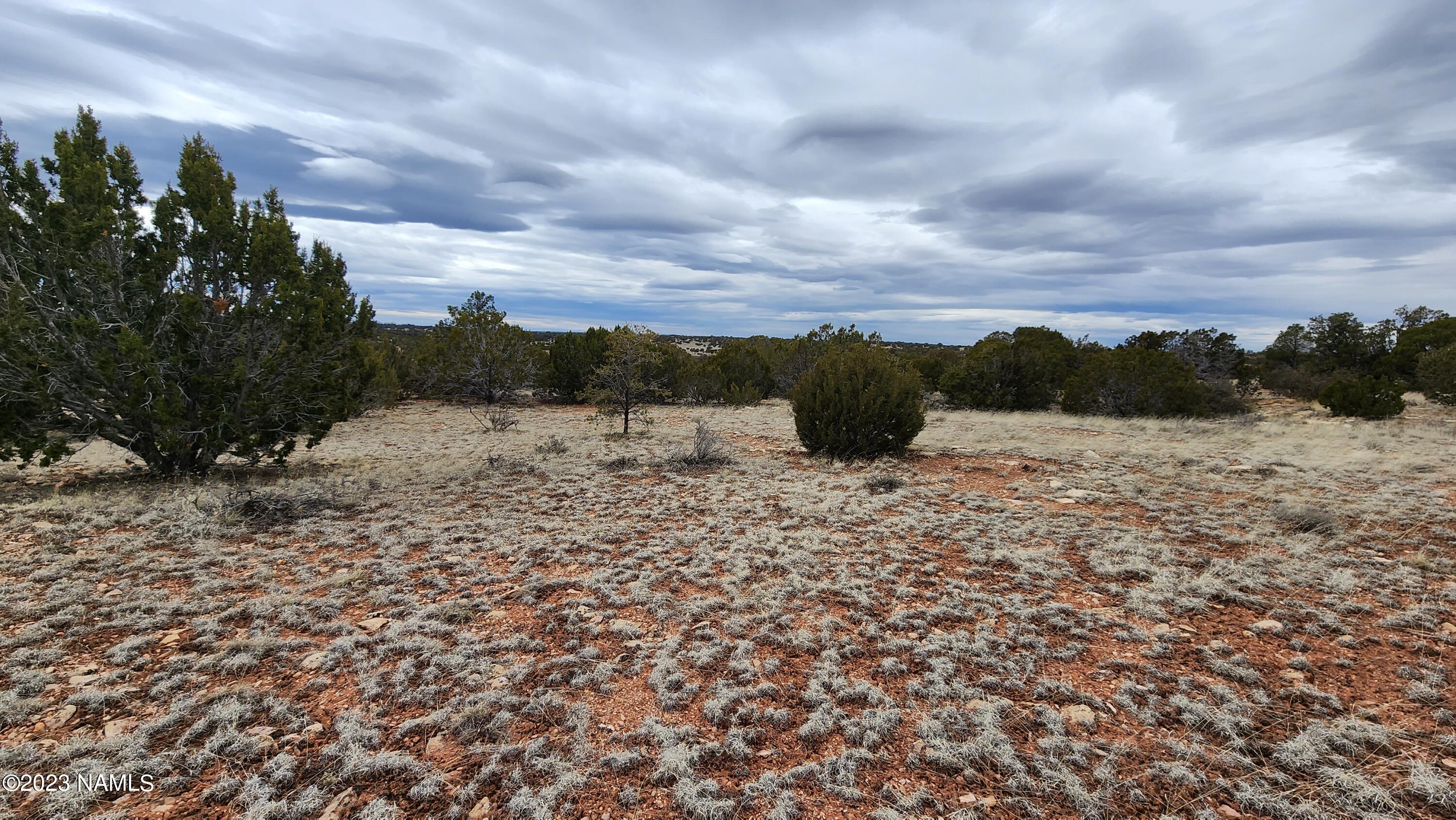 9401 Latigo Road, Unit 252 Williams, AZ 86046 - Photo 10 of 18 20230314_133332