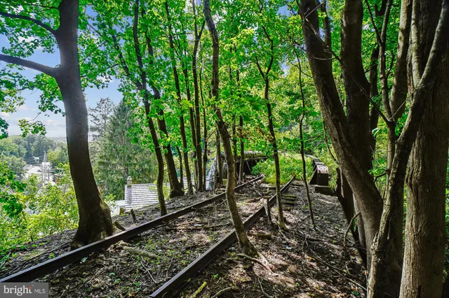 a view of backyard with green space