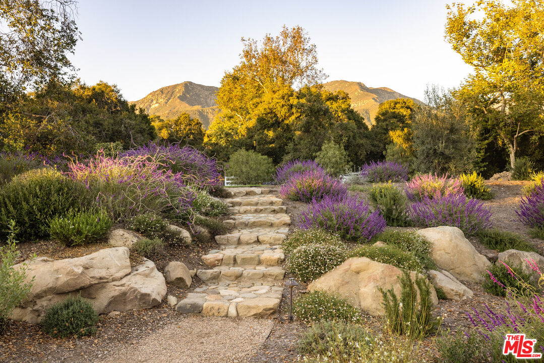 1779 Glen Oaks Drive Montecito, CA 93108 - Photo 4 of 32 a view of a tree with a yard