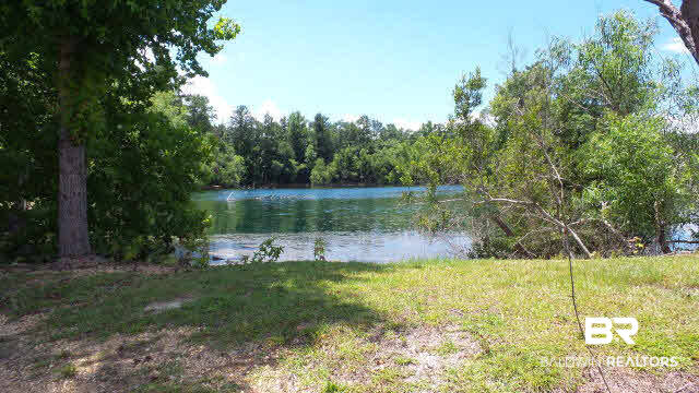 0 West Railroad Street Castleberry, AL 36432 - Photo 25 of 41