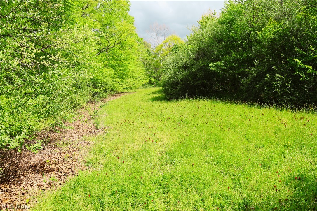 Morganville Rd Road Malta, OH 43758 - Photo 28 of 42