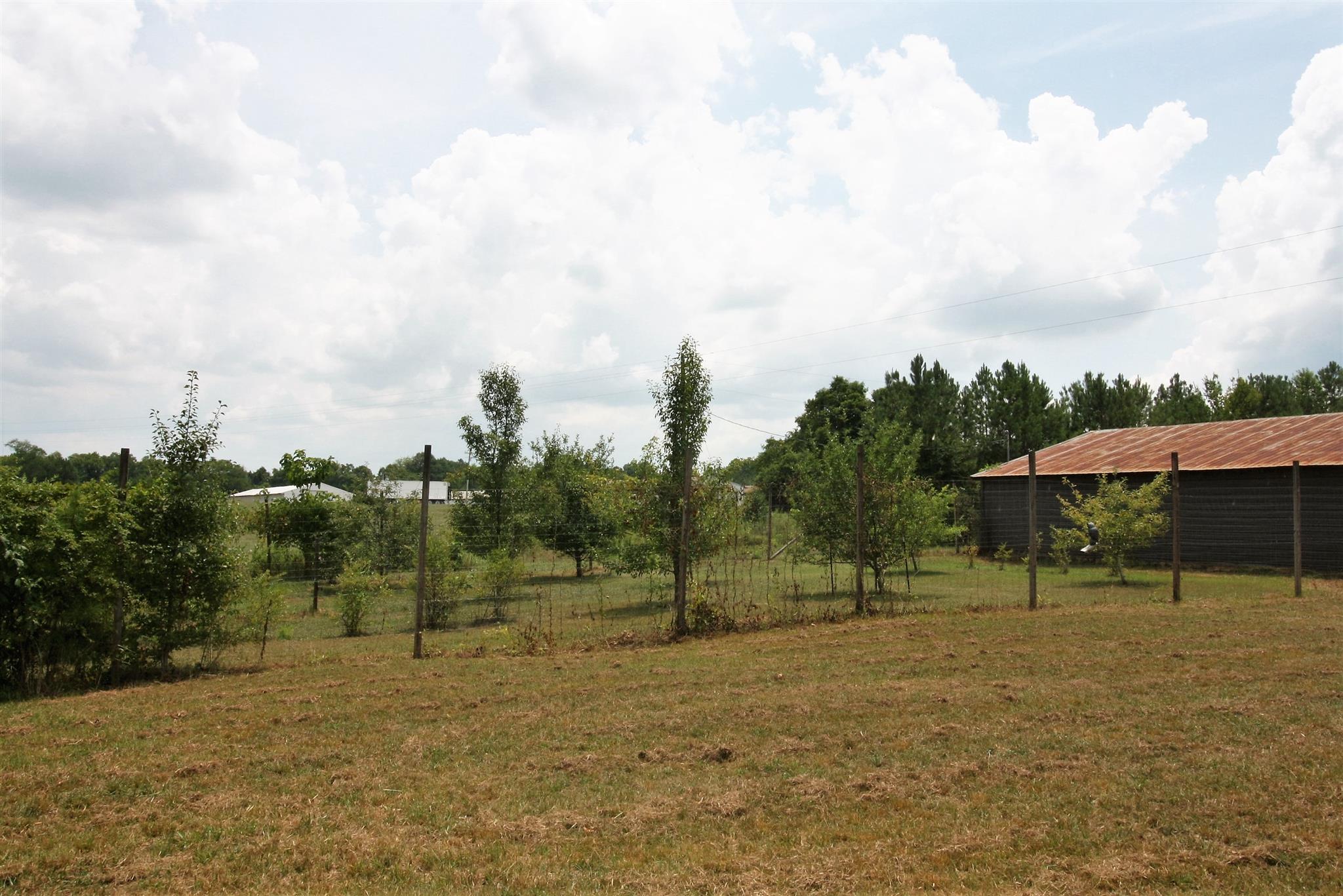 17550 Witty Mill Road Elkmont, AL 35620 - Photo 17 of 27 a view of outdoor space with city view
