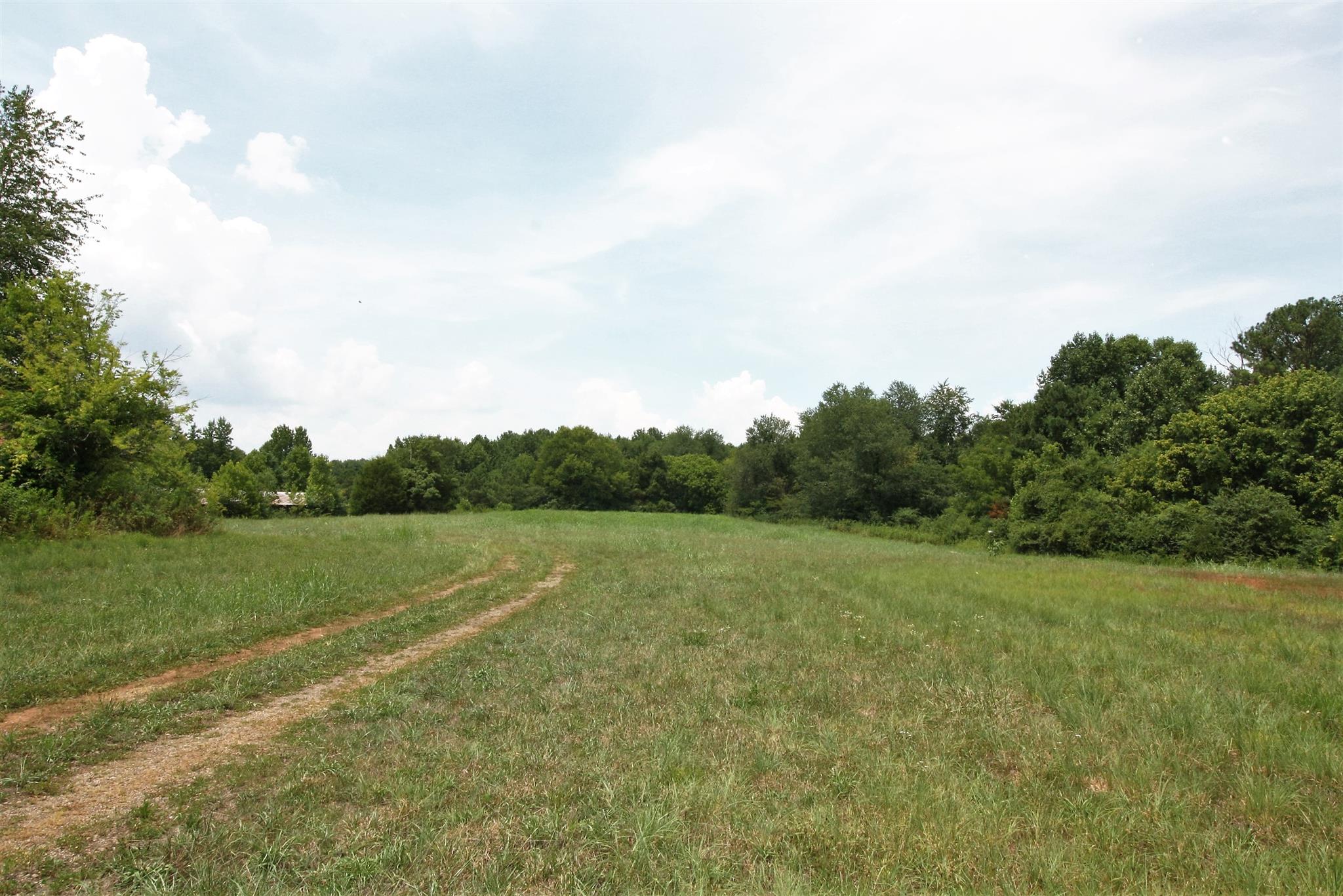 17550 Witty Mill Road Elkmont, AL 35620 - Photo 23 of 27 a view of a field with an trees