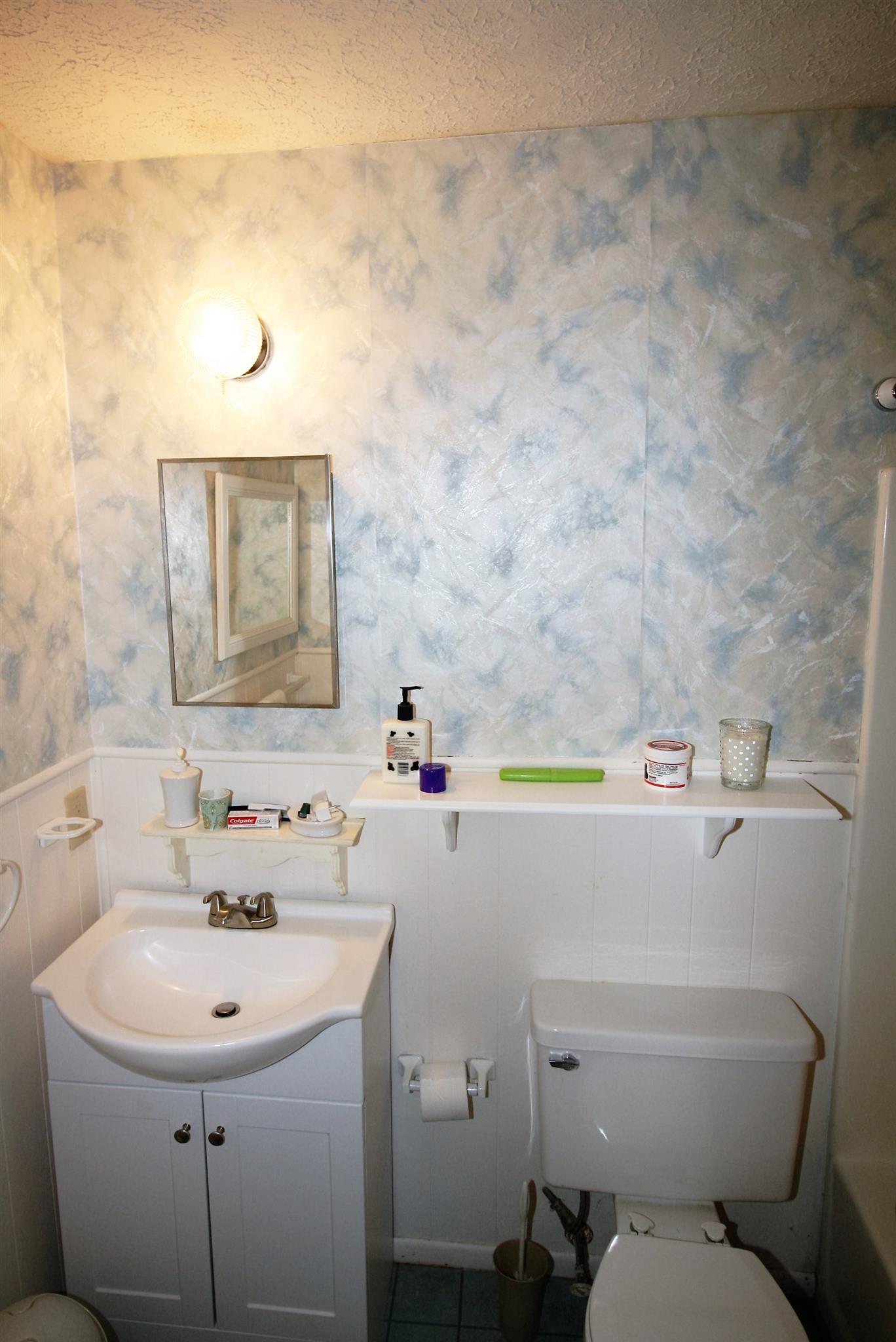 17550 Witty Mill Road Elkmont, AL 35620 - Photo 6 of 27 a bathroom with a sink a toilet and mirror