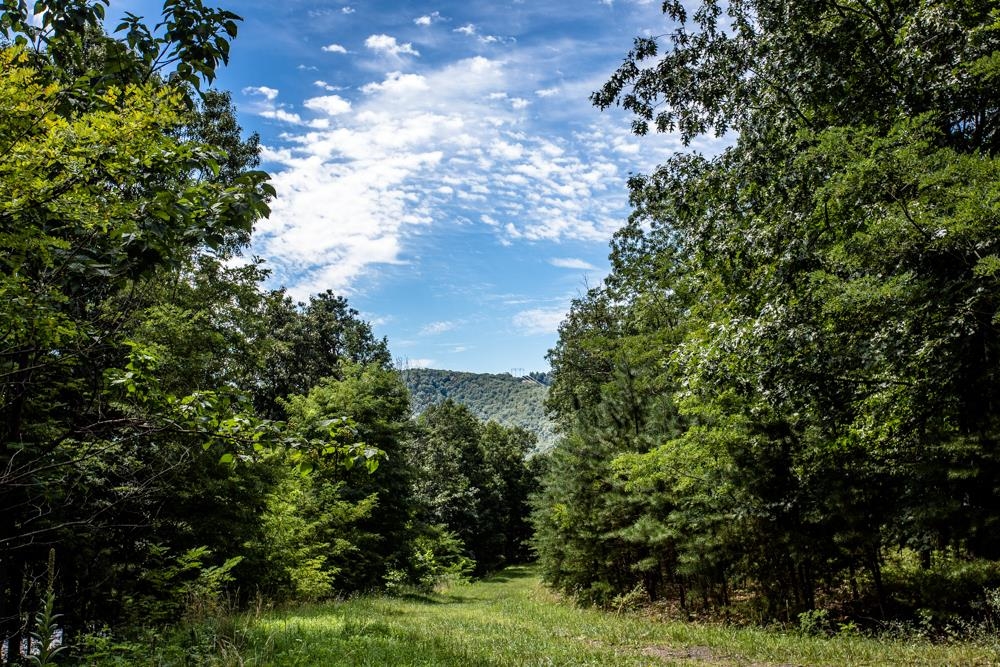393 Hunters Rdg Trail Milam, WV 26836 - Photo 23 of 28 a view of a yard