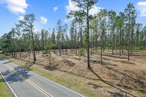 $115,000 | Nhn Ramsey Road, Saucier, MS 39574