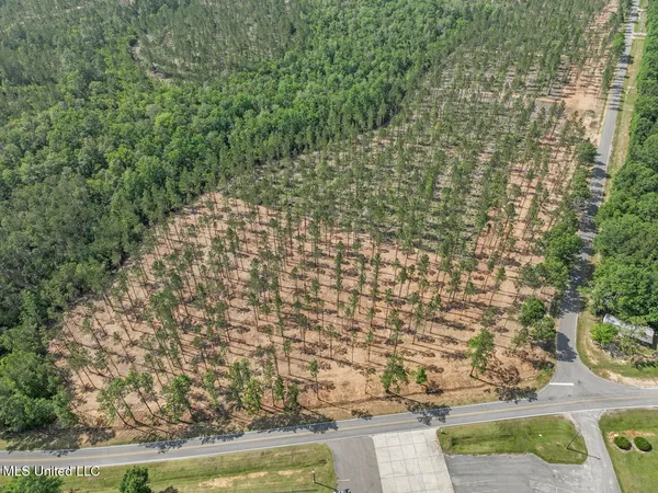 $115,000 | Nhn Ramsey Road, Saucier, MS 39574