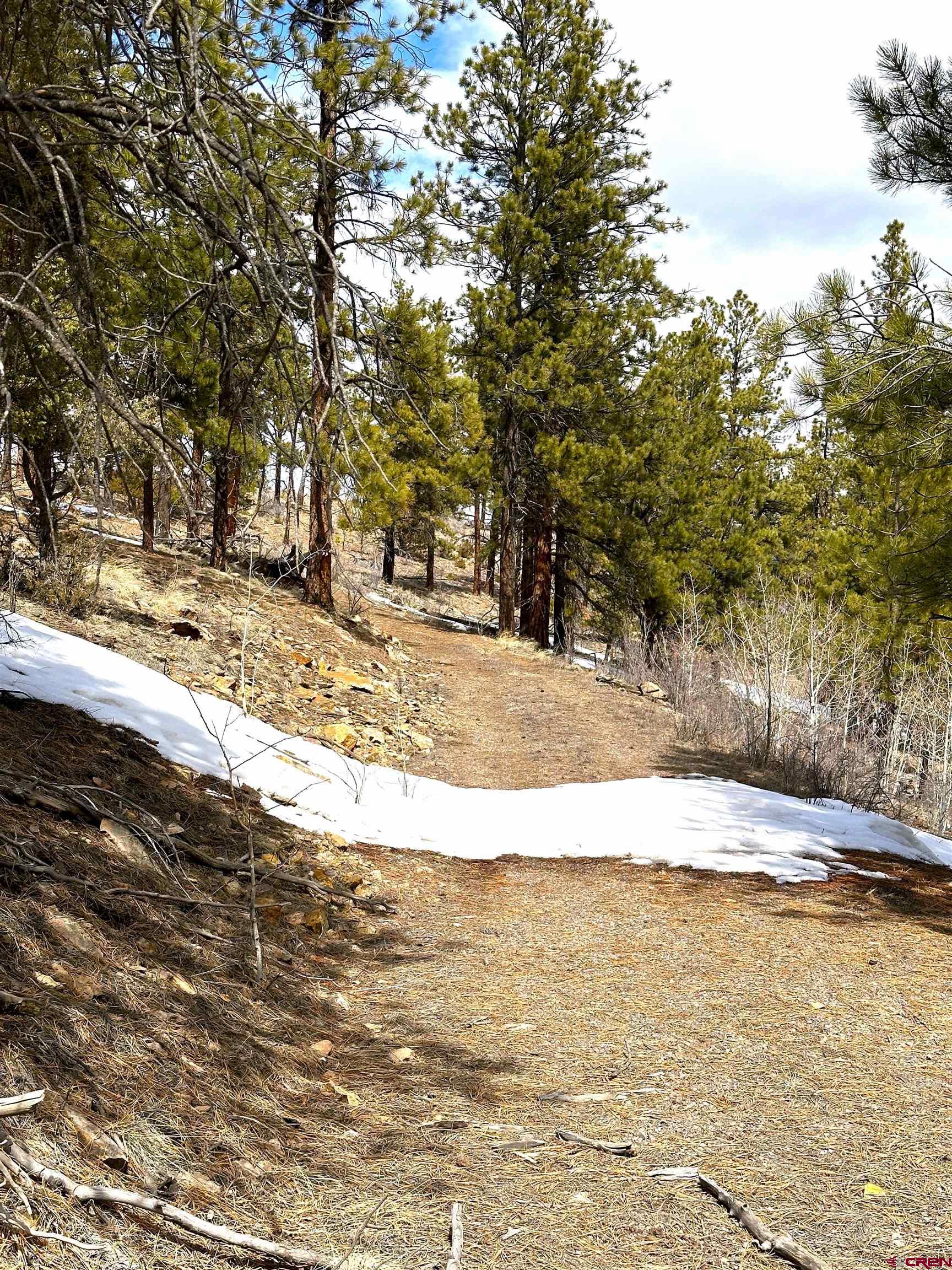 150 Rickel Circle South Fork, CO 81154 - Photo 6 of 11