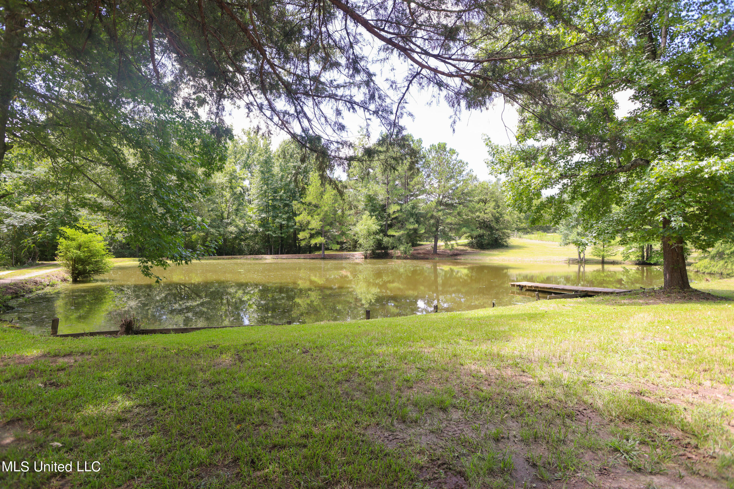 1879 Flowers Road Terry, MS 39170 - Photo 29 of 41 IMG_5664