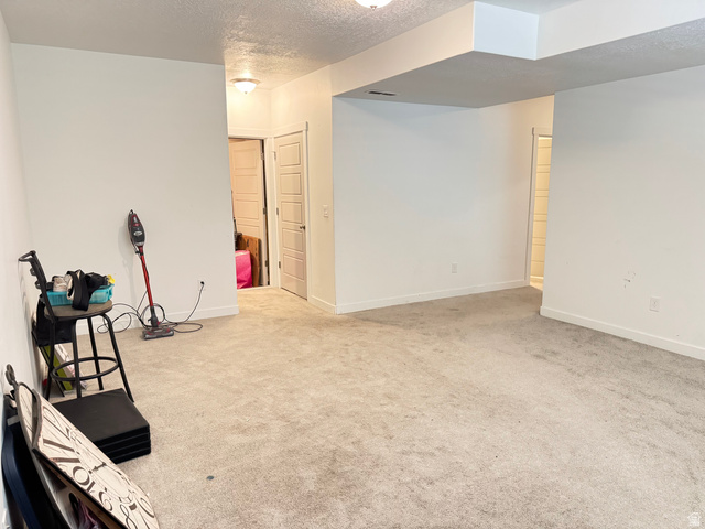 7687 West Mount Elinor Road Magna, UT 84044 - Photo 27 of 43