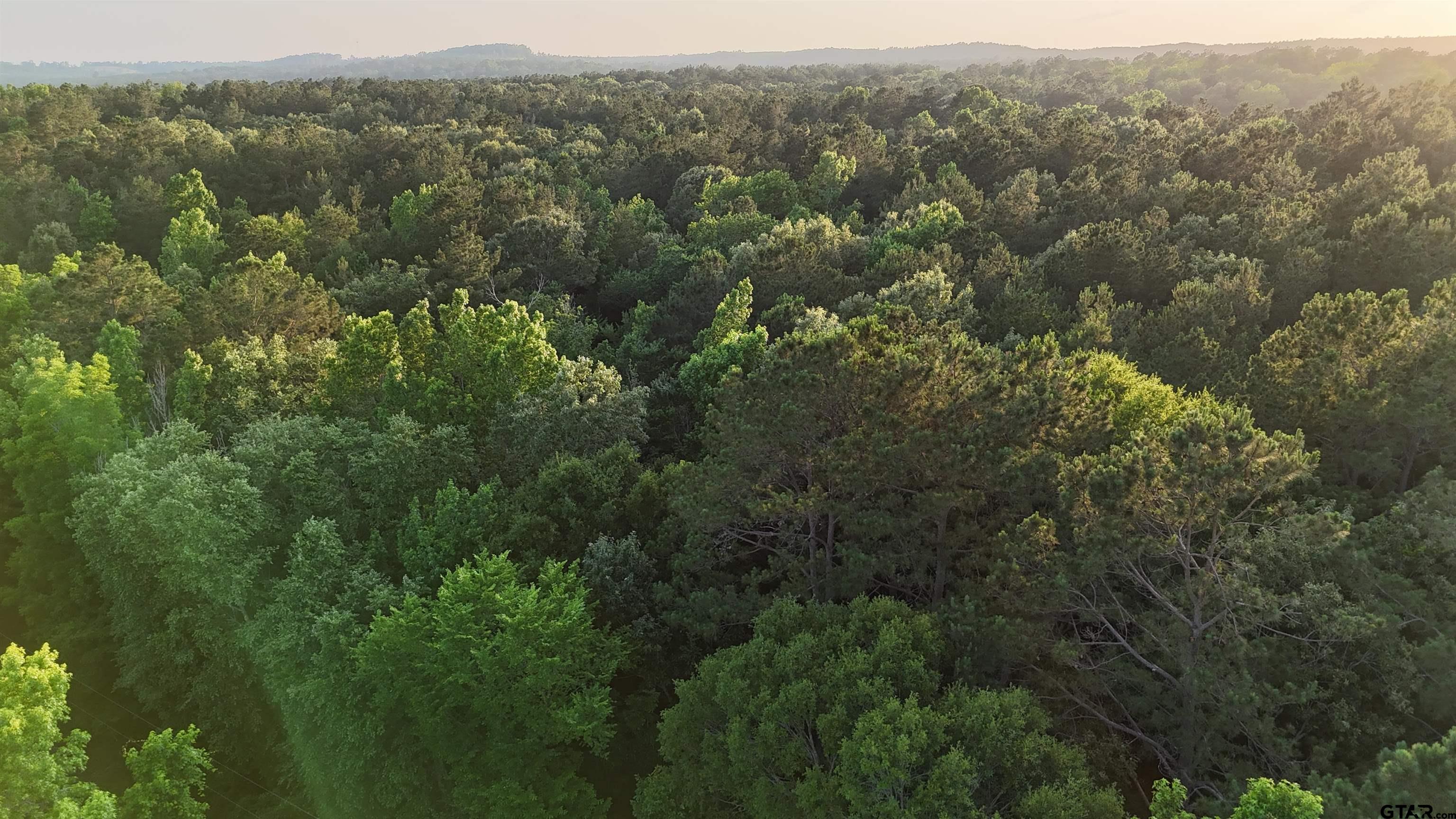 0 County Road 1204 Rusk, TX 75785 - Photo 9 of 32