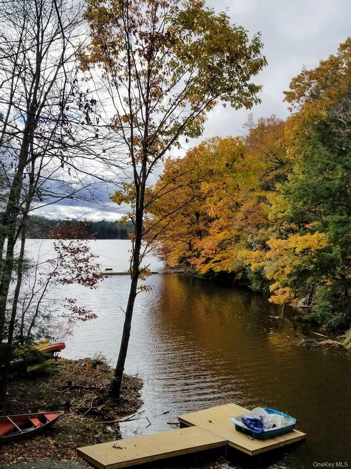 221 Starlight Road Monticello, NY 12701 - Photo 28 of 40