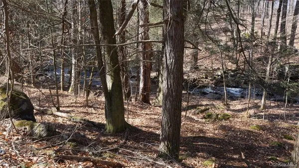 a view of a forest with a tree