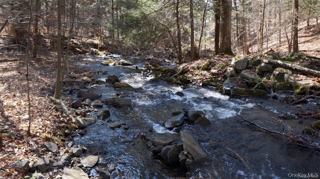 221 Starlight Road Monticello, NY 12701 - Photo 40 of 40