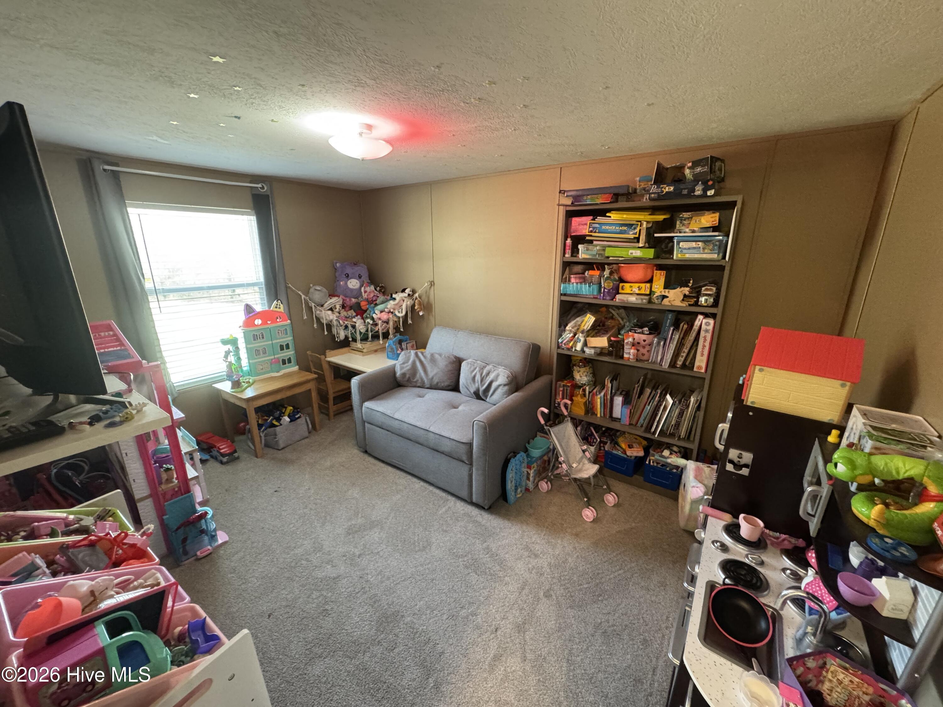 8521 Johns Mill Road Maxton, NC 28364 - Photo 17 of 22 Bonus room (could be converted into fourth bedroom)